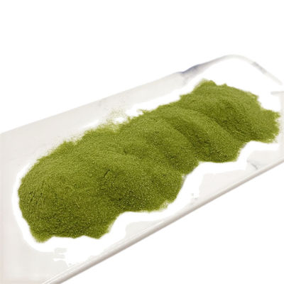Green Seaweed Extract for Soil Improvement and Plant Health 40% Polysaccharides Powder