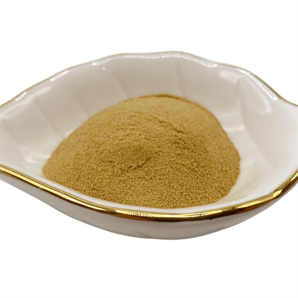 Efficiency 15-2-2 Fish Protein Fertilizer Powder Form Quick Effect Organic Nitrogen